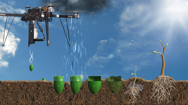 Ex-NASA Engineer to Plant One Billion Trees a Year Using Drones
