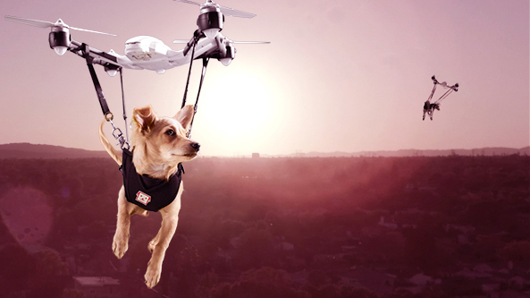 Puppy Drone Delivery for HSUS