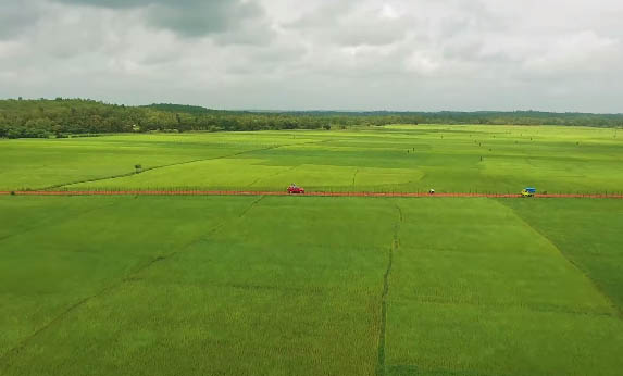 Agriculture Field of Karnataka Drone Video