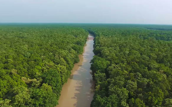 Pilibhit Forest Uttar Pradesh Drone Video