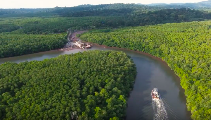 Travelling in Mangrove Forest – Andamans